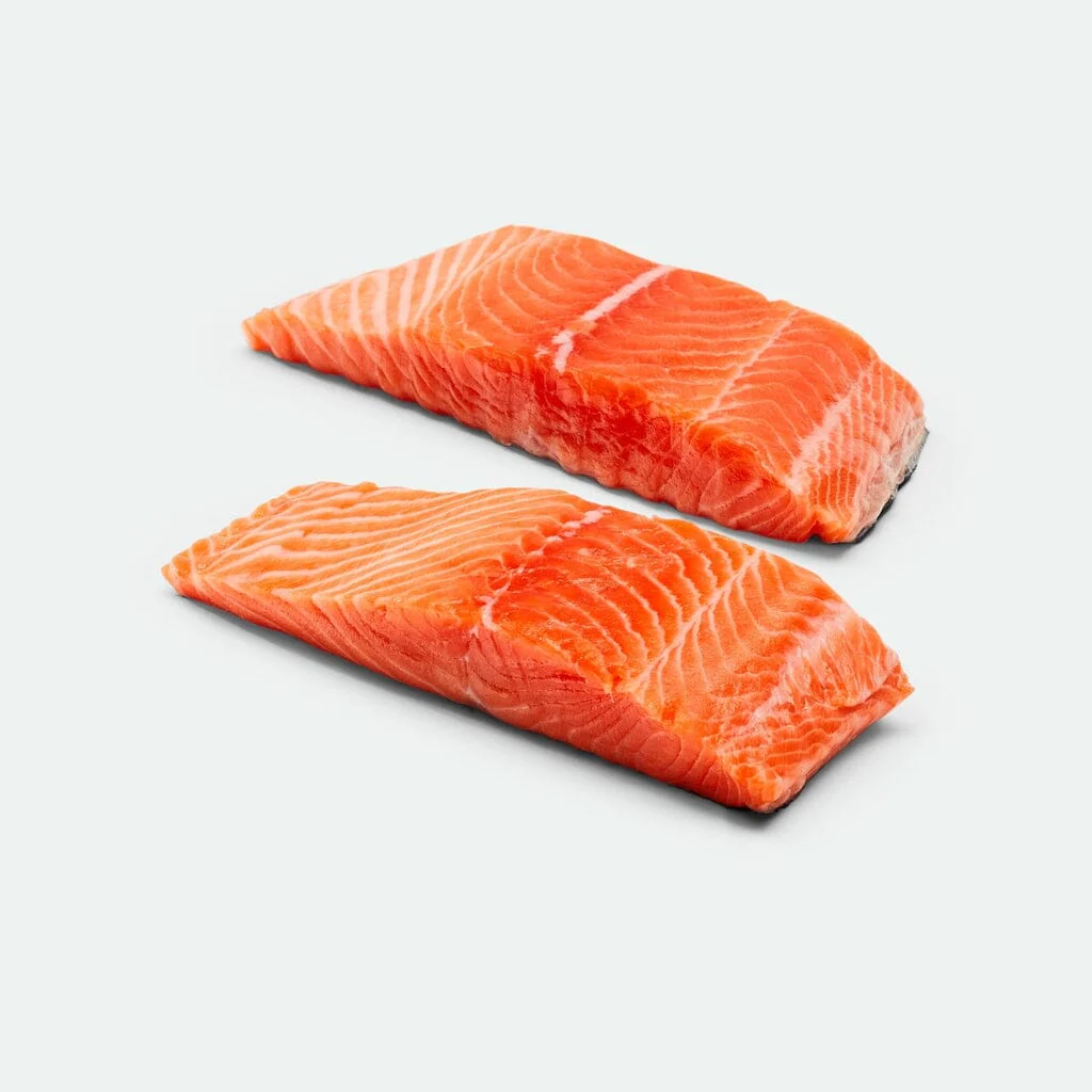 salmon 